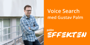 Voice Search